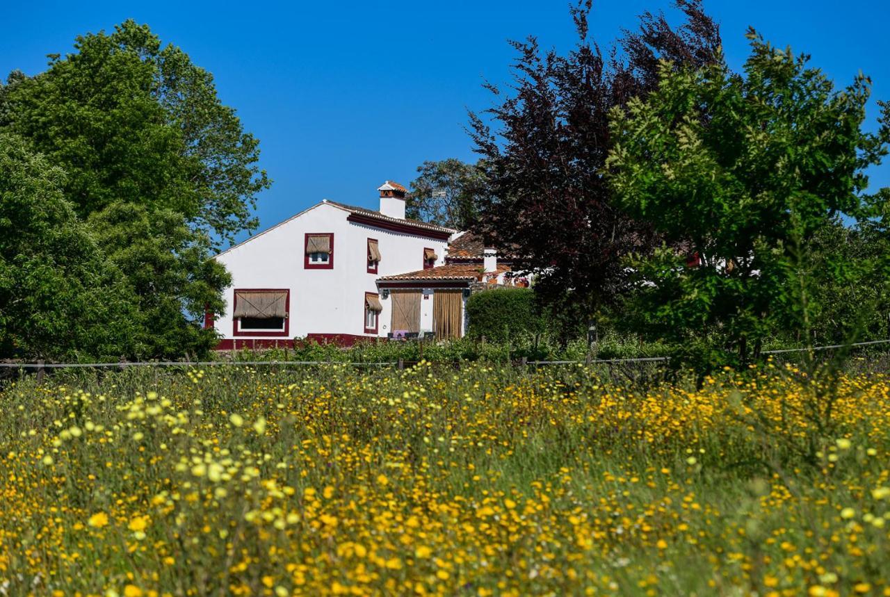 Quinta Da Dourada Otel Portalegre Dış mekan fotoğraf