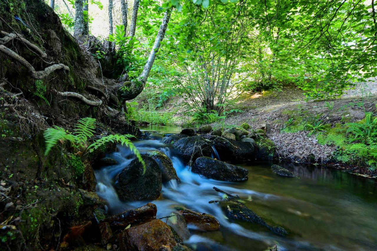 Quinta Da Dourada Otel Portalegre Dış mekan fotoğraf